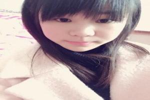 免费看宝可梦新无印全集